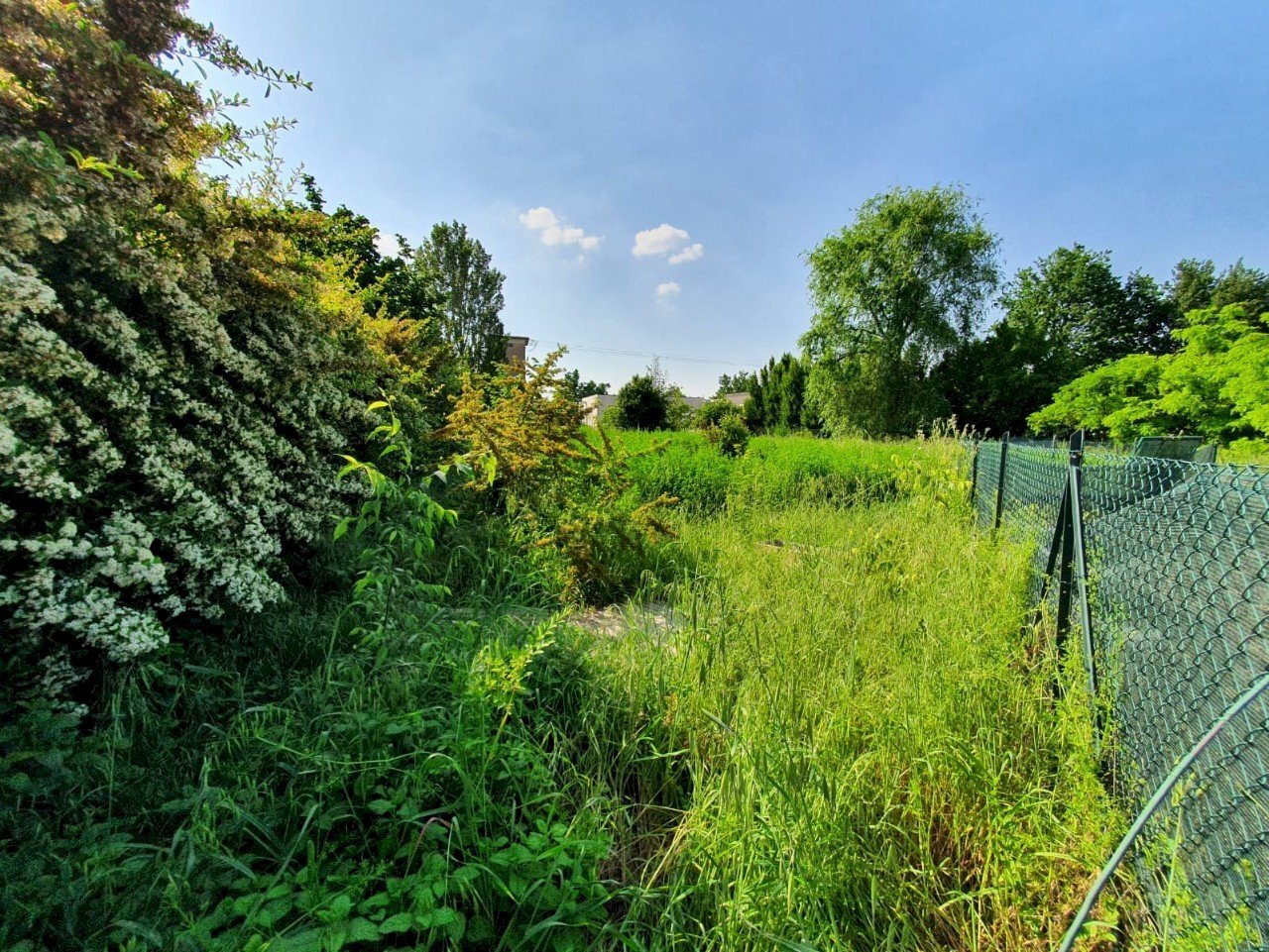 Terreno edificabile Reggio nell'Emilia - foto 2