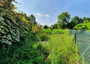 Terreno edificabile Reggio nell'Emilia - foto 2