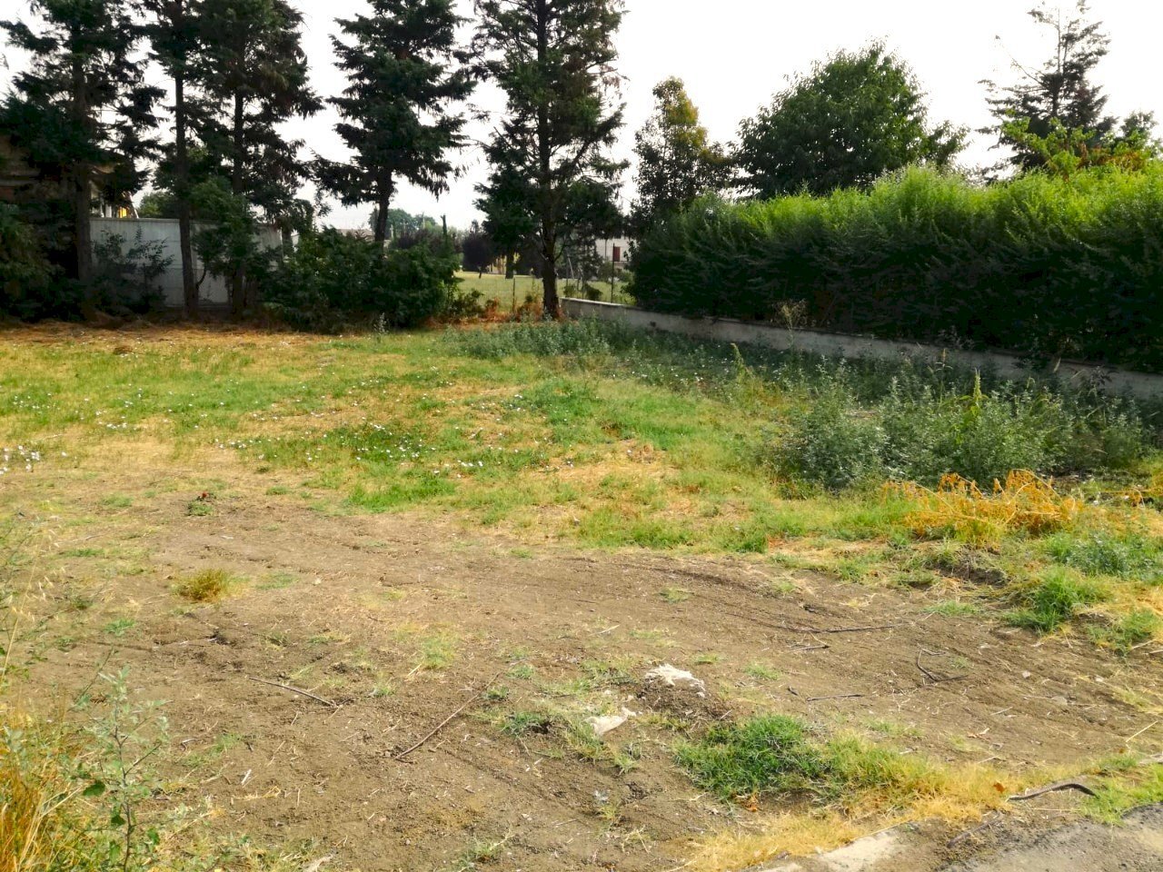 Terreno edificabile Scandiano - foto 1