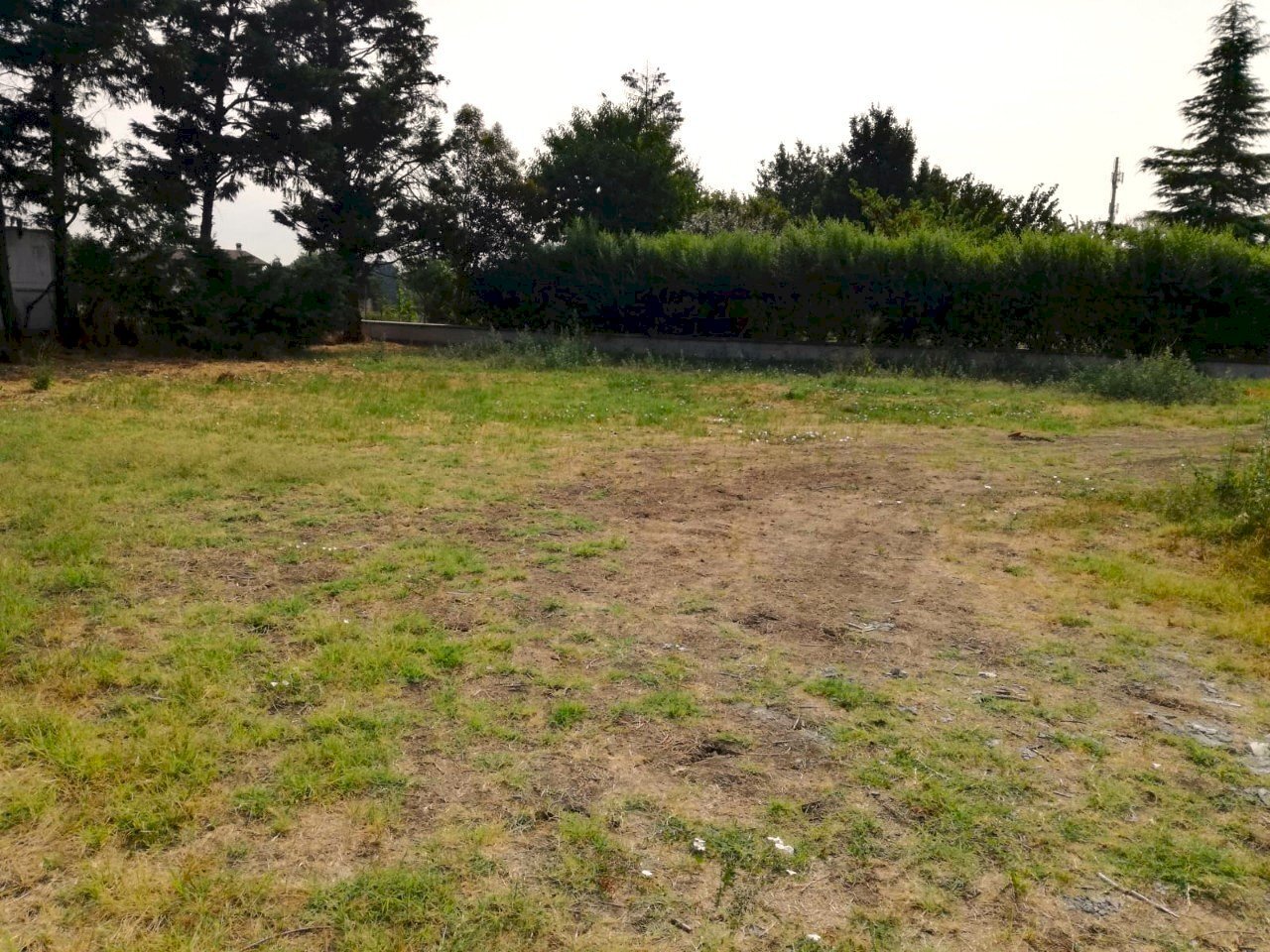 Terreno edificabile Scandiano - foto 2