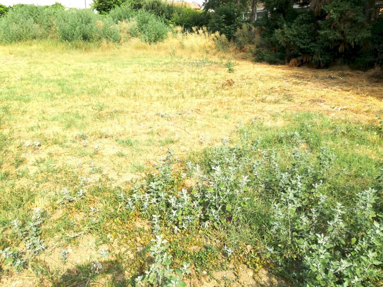 Terreno edificabile Scandiano - foto 3