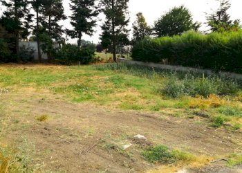 Terreno edificabile Scandiano - foto 1