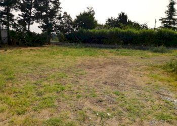 Terreno edificabile Scandiano - foto 2