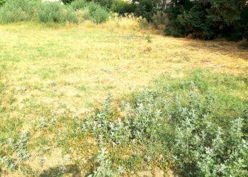 Terreno edificabile Scandiano - foto 3