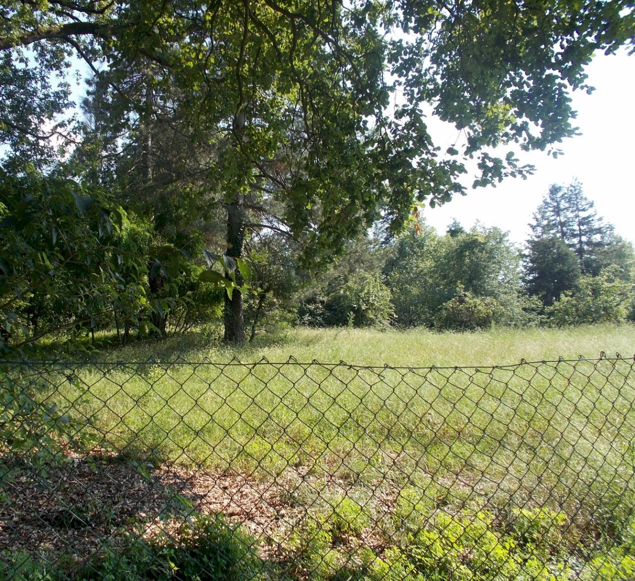 Building land Albinea - photo 1