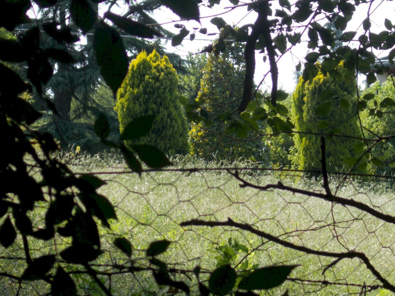 Building land Albinea - photo 2