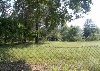 Building land Albinea - photo 1