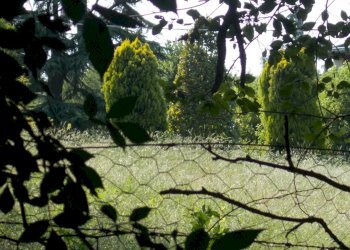 Building land Albinea - photo 2