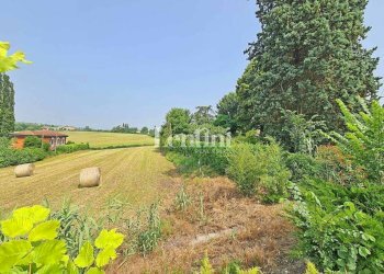 Terreno - Rustic Regione Tronco, Vignale Monferrato - photo 4