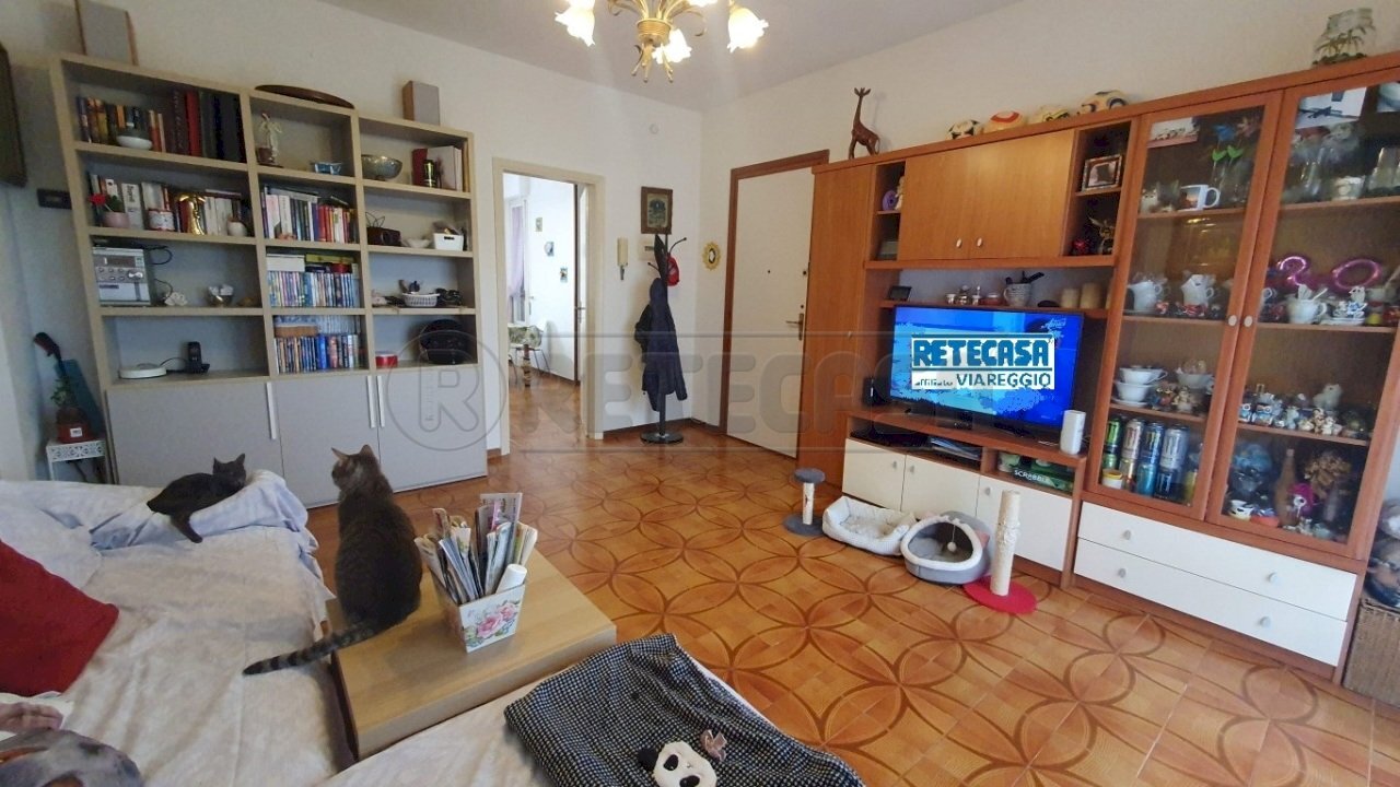 ingresso soggiorno - Apartment Via dei Lecci, Viareggio - photo 2