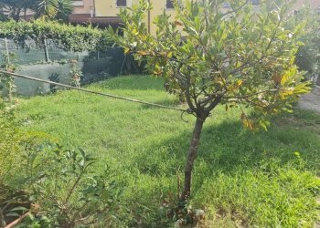1288389-eh144w1k.jpg - Casa semi indipendente Viale XX Settembre 173, Carrara - foto 23