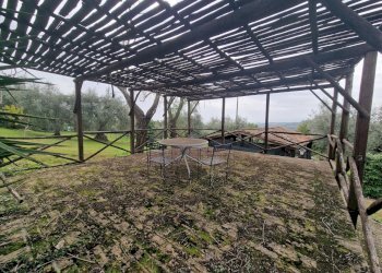 20241017_124107.jpg - Villa Strada del Fondo, Amelia - foto 7