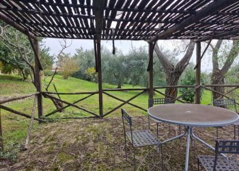 20241017_124602.jpg - Villa Strada del Fondo, Amelia - foto 18