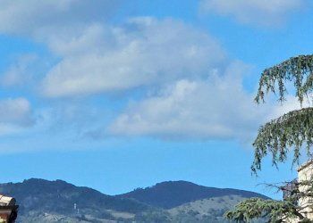 Appartamento Zona Porta Madonna, Teramo - foto 15