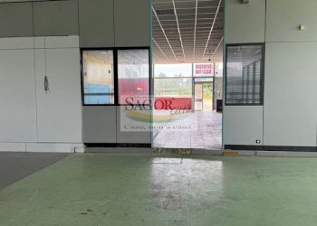 Capannone Roletto - foto 7