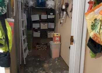 Attività Commerciale via falletti, Savona (zona Villapiana) - foto 2