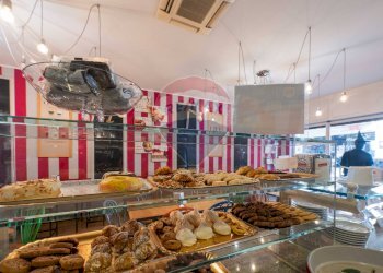 Attività Commerciale Bergamo - foto 6