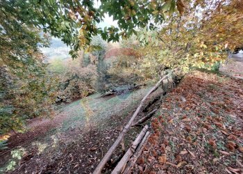 Rustico Endine Gaiano - foto 21