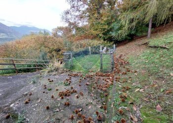 Rustico Endine Gaiano - foto 25