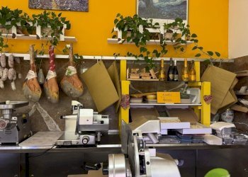 Image - 2024-10-18T163050.194.jpg - Food - Gastronomy via della Vittoria 4, San Giuliano Milanese - photo 11