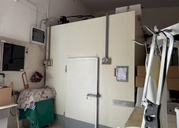 Image - 2024-10-18T163340.970.jpg - Food - Gastronomy via della Vittoria 4, San Giuliano Milanese - photo 20