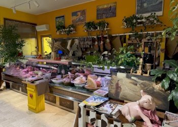 Image (100).jpg - Food - Gastronomy via della Vittoria 4, San Giuliano Milanese - photo 1