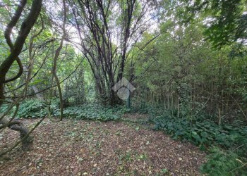 Casa indipendente Via Fiumazzo, Russi - foto 3