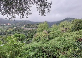 ZONA CIRCOSTANTE - Appartamento via Ca' De Mussi, Genova (zona Marassi) - foto 2