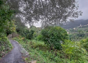 ZONA CIRCOSTANTE - Appartamento via Ca' De Mussi, Genova (zona Marassi) - foto 21