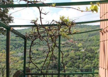 TERRAZZO - Appartamento via Ca' De Mussi, Genova (zona Marassi) - foto 28