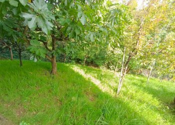 Esterno.jpeg - Appartamento Strada Amerina, Narni - foto 30