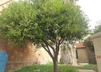 Quadrilocale Via Candore, Messina - foto 25