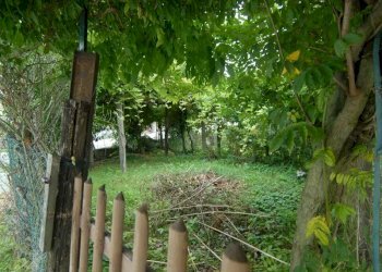 Quadrilocale Serravalle Langhe - foto 19