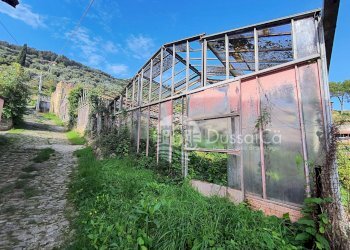 Terreno edificabile Via San Sebernando, Dolceacqua - foto 4