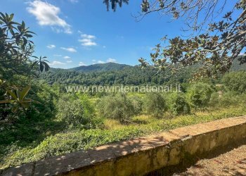 Terreno - Villa via di Balbano, Lucca - foto 13