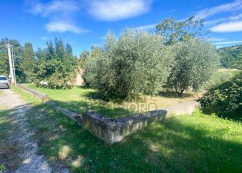 Terreno - Rustico strada Palena, San Leo - foto 5