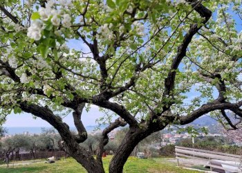 Esterni - Casa indipendente via Madonna della Neve, Lavagna - foto 7