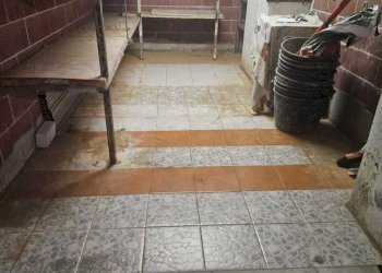 WhatsApp Image 2024-10-23 at 09.46.01 (2).jpeg - Box Piazza Massena, Genova - foto 3