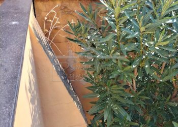 IMG20220326094630.jpg - Appartamento Varazze - foto 16