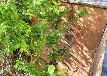 IMG20220326094650.jpg - Appartamento Varazze - foto 17