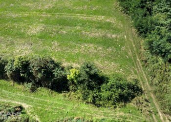 Agricultural land via Vittorio Emanuele II, 10, Bricherasio - photo 24