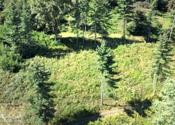 Agricultural land via Vittorio Emanuele II, 10, Bricherasio - photo 39