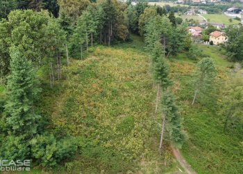 Agricultural land via Vittorio Emanuele II, 10, Bricherasio - photo 57