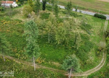 Agricultural land via Vittorio Emanuele II, 10, Bricherasio - photo 60