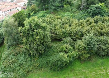 Agricultural land via Vittorio Emanuele II, 10, Bricherasio - photo 70