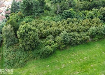 Agricultural land via Vittorio Emanuele II, 10, Bricherasio - photo 71