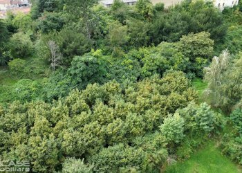 Agricultural land via Vittorio Emanuele II, 10, Bricherasio - photo 72
