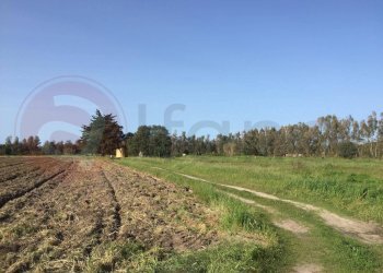 Laboratorio Via Nucleo Centro Uno, Arborea - foto 2