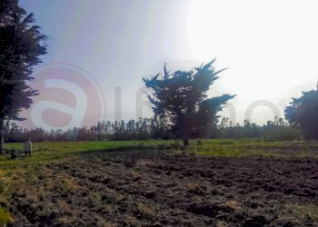 Laboratorio Via Nucleo Centro Uno, Arborea - foto 5