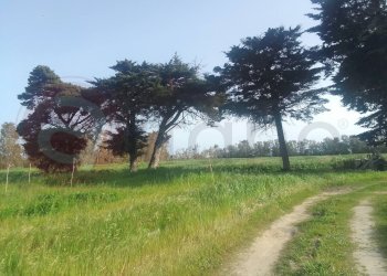 Laboratorio Via Nucleo Centro Uno, Arborea - foto 6